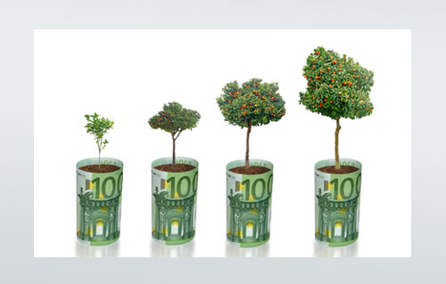motiv-baum_geld_500x319