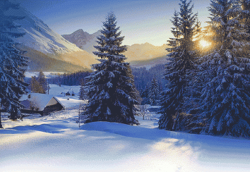 Arqum w&uuml;nscht Frohe Weihnachten