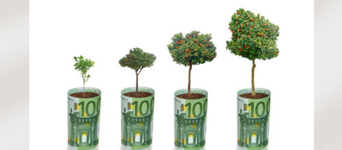 motiv-baum_geld_500x319-02